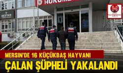 Mersin'de 16 Küçükbaş Hayvanı Çalan Şüpheli Yakalandı