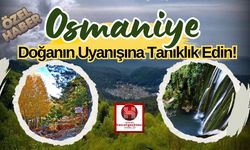 Osmaniye’de Doğanın Uyanışına Tanıklık Edin!