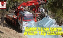 Tomruk Taşıyan Kamyon Devrildi: 1 Kişi Yaralandı