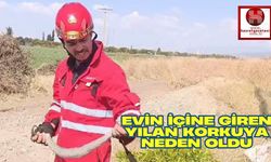 Evin İçine Giren Yılan Korkuya Neden Oldu