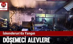 İskenderun'da Döşemeci Alevlere Teslim Oldu