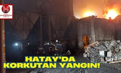 Hatay'ın Payas İlçesinde Korkutan Yangın!