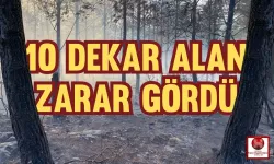 Düziçi'nde Orman Yangın! 10 Dekar Alan Zarar Gördü!