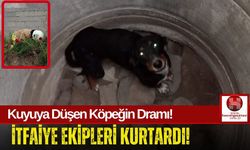 Kuyuya Düşen Köpeğe İtfaiyeden Şefkat Eli!