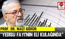 Prof. Dr. Naci Görür: "Yedisu Fayı'nın Eli Kulağında"