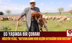 Yıllara Meydan Okuyan Çoban, Hüseyin Yıldız!