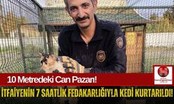 Dar Boşluğa Düşen Kedi, İtfaiyenin Halatlı Operasyonuyla Güvende!