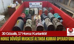 Dövüştürülen Horozları Jandarma Kurtardı!