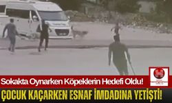 Köpeklerin Saldırdığı Çocuk Son Anda Kurtarıldı!
