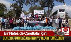 Deniz Kaplumbağalarının Yaşam Hakkı İçin Kumsalda Dev Seferberlik!