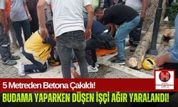 Budama Yaparken 5 Metreden Düşen İşçi Hastanelik Oldu!