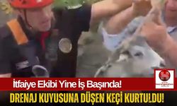 Kuyuya Düşen Keçiyi İtfaiye Kurtardı!