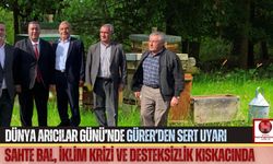 Gürer: “Sahte Bal Arıcılığı Bitiriyor, Denetim Yetersiz”
