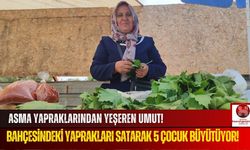 5 Çocuk Annesi, Asma Yapraklarıyla Ailesine Umut Oluyor!