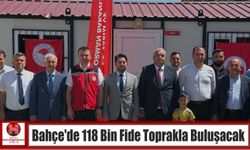 Bahçe’de 118 Bin Fide Toprakla Buluşacak