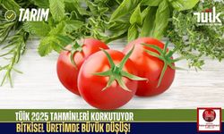 Tüik'e Göre Sebze ve Meyve Üretimi Çöküyor