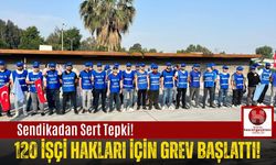 Toros Tarım İşçileri Greve Çıktı!