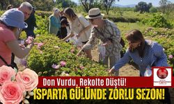 Güllerin Başkenti Isparta'da Hasat Coşkusu Başladı!