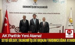 Seydi Gülsoy, Ekonomi İşleri Başkan Yardımcılığına Getirildi!