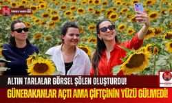 Günebakanlar Açtı, Çiftçi Destek Bekliyor!