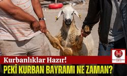 2025 Kurban Bayramı Tarihi Belli Oldu! Bayram Tatili Kaç Gün?