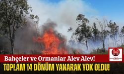 Anamur'da Alevler Her Yeri Sardı! 14 Dönüm Küle Döndü!