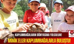 Dünya Kaplumbağa Günü’nde Çocuklar Hem Öğrendi Hem Eğlendi!