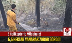Çıkan Orman Yangınında 5,5 Hektar Alan Zarar Gördü!