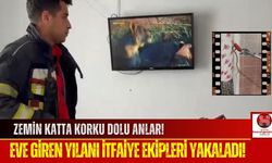 Yılan Alarmı! İtfaiye Ekipleri Harekete Geçti!