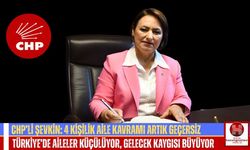 CHP'li Şevkin: “Doğurganlık Hızı Düşüyor, 4 Kişilik Aile Kavramı Sona Erdi”