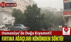 Osmaniye'de Şiddetli Rüzgar Ağaçları Kökünden Çıkardı!