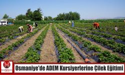 Osmaniye’de ADEM Kursiyerlerine Çilek Eğitimi
