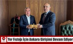 Yer Fıstığı İçin Ankara Girişimi Devam Ediyor