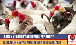 Bakan Yumaklı’dan Üreticilere Müjde: Kurbanlık Hayvan Alımlarında Yeni Uygulama