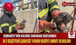 Osmaniye'de Alt Geçitte Sıkışan Kedi Yavrusu Kurtarıldı!