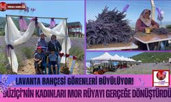 Düziçi’nin Kadınları Toprağa Umut Ekti, Lavanta Açtı!