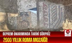 Altyapı Kazısında 2000 Yıllık Roma Mozaiği Çıktı!