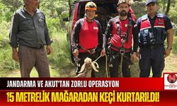 Jandarma ve AKUT El Ele Verdi, 15 Metrelik Mağaradan Keçi Kurtarıldı!