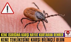 Kene Isırığı Durumunda Hayat Kurtaran Adımlar