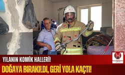 Yılan ve İtfaiyenin Komik Diyaloğu! "Nereye Gidiyorsun?"