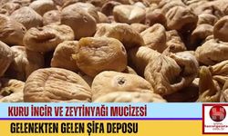 Kuru İncir ve Zeytinyağı Mucizesi: Gelenekten Gelen Şifa Deposu