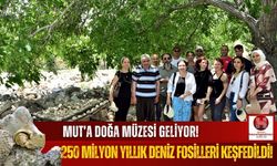 Mut'ta 250 Milyon Yıllık Deniz Fosilleri Keşfedildi!
