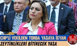 CHP’li Dr. Müzeyyen Şevkin : “Zeytinlikler madenciliğe kurban edilemez”