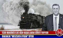 Gürer: “Taşeron çalışma sistemi modern köleliktir”