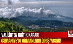 Osmaniye'de Ormanlık Alanlarda Piknik ve Kamp Yasaklandı!