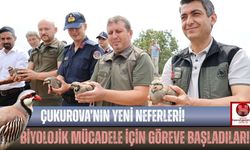 Kozan'da Biyolojik Mücadeleye Yeni Neferler!