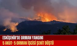 Eskişehir’de Orman Yangını 10  Şehit