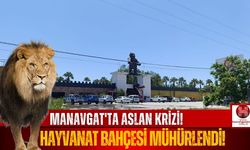 Kaçan Aslanın Bulunduğu Hayvanat Bahçesi Mühürlendi!