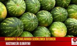 Osmaniye Sıcaklarında Serinlemek İsterken Hastanelik Olmayın!