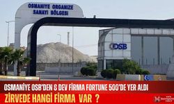 Osmaniye Organize Sanayi Bölgesi'den Büyük Başarı